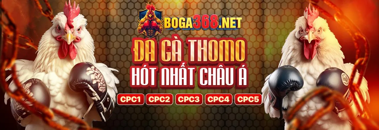 Tổng quan khuyến mãi 77win1 Casino